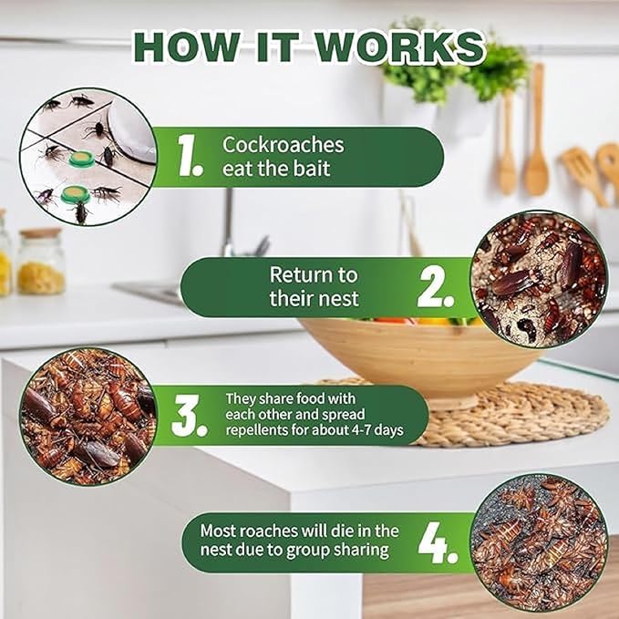 24/7 Complete House Protection Cockroach Killer - 12 Pcs Bait System . Pet & Family Safe